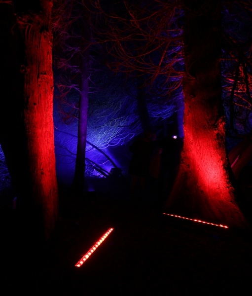 Illumina   027.jpg